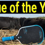 Neonic Flow Prime X Pickleball Paddle Review: Value of the Year?