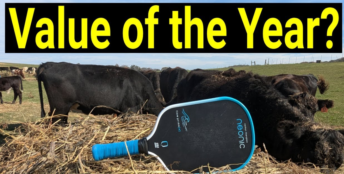 Neonic Flow Prime X Pickleball Paddle Review: Value of the Year?